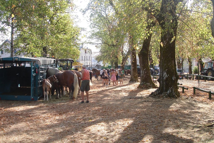 Comtois26-0016.jpg
