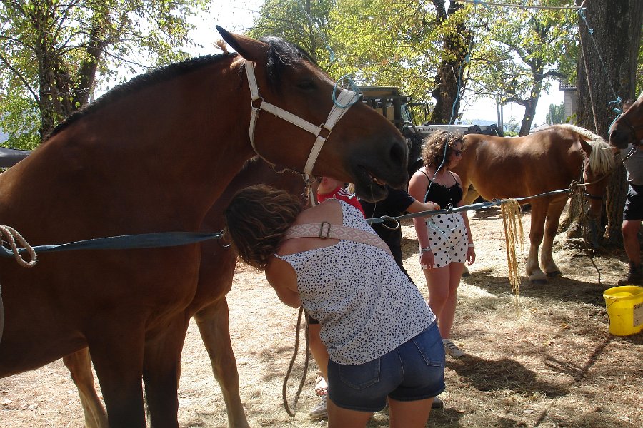 Comtois26-0065.jpg