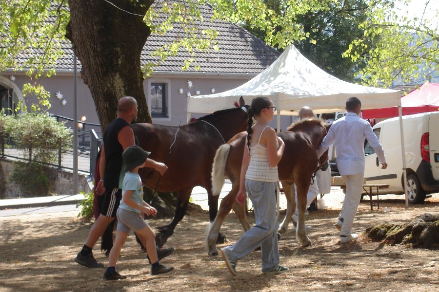 Comtois26-0068.jpg