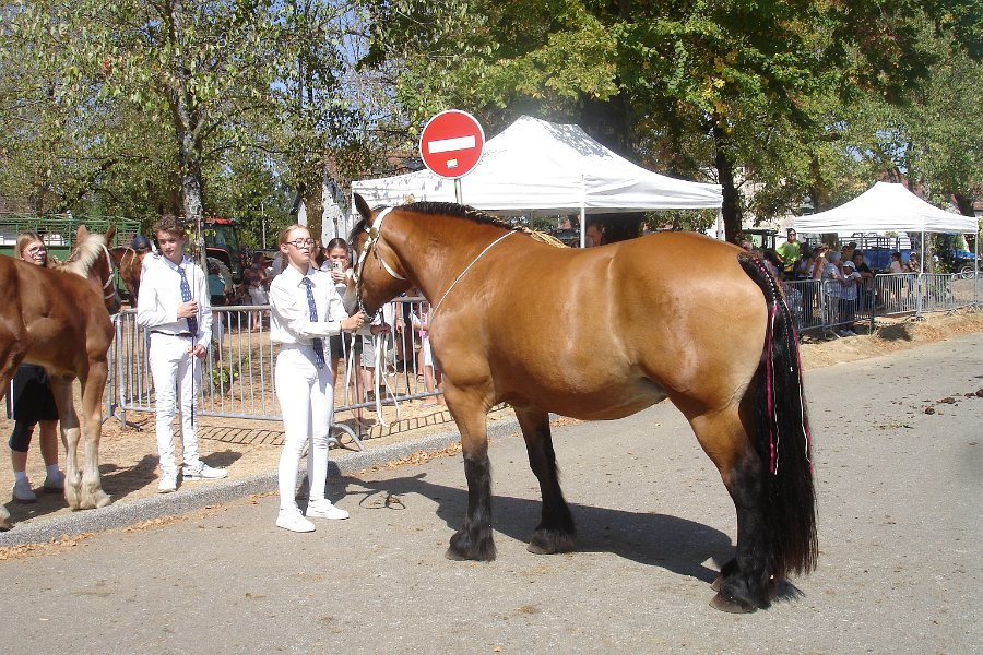 Comtois26-0074.jpg
