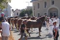 Comtois26-0039