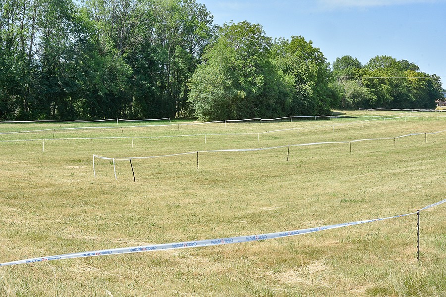 FM26D-0006.jpg